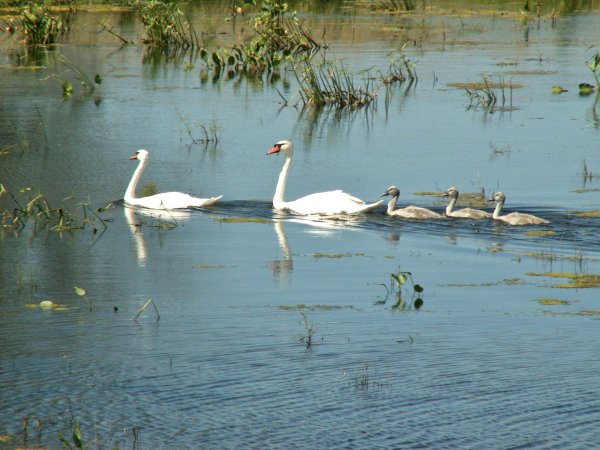 Саратовская область национальный парк Хвалынский реки