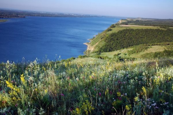 Заповедники Саратова