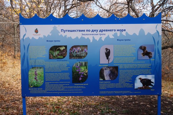 Флора Хвалынского национального парка