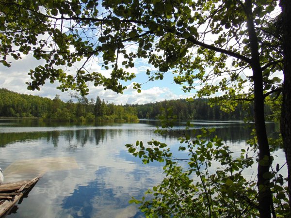 Нарочь национальный парк