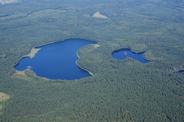 Нарочанский заповедник