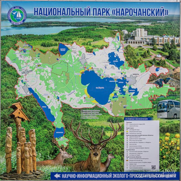 Нарочанский парк где