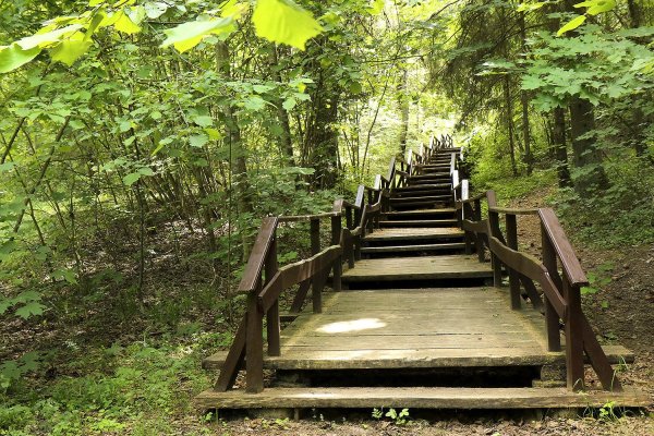 Нарочанский парк голубые озера