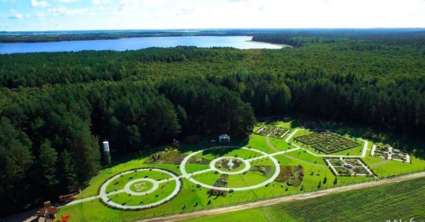 Аптекарский сад Беларусь