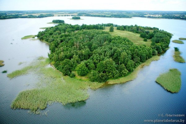 Озеро Островенское Лужский район