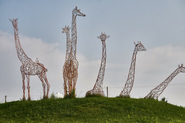 Город Дудинка Индустриальный арт-объект «Дудинский Жираф»