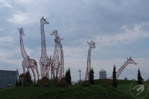 Пензенская область парк Легенда