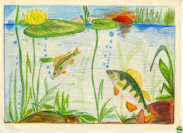 Обитатели рек и озер