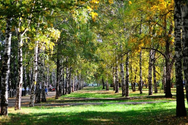 Стерлитамак Башкортостан
