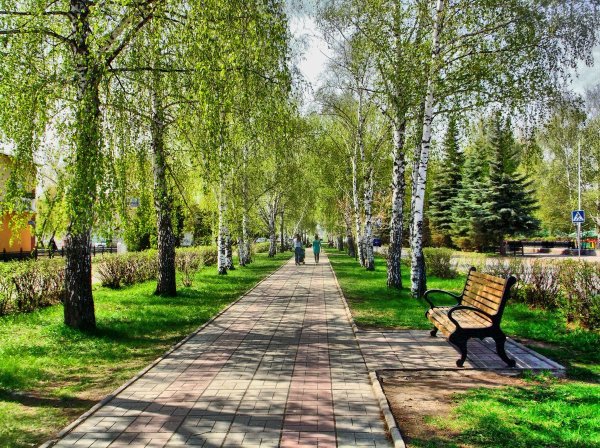 Стерлитамак Ленина аллея