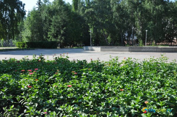 Парк Кирова Стерлитамак мтык