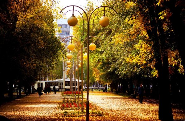 Стерлитамак проспект Ленина осень