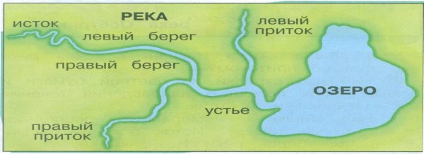 Устье реки Исток приток окружающий мир