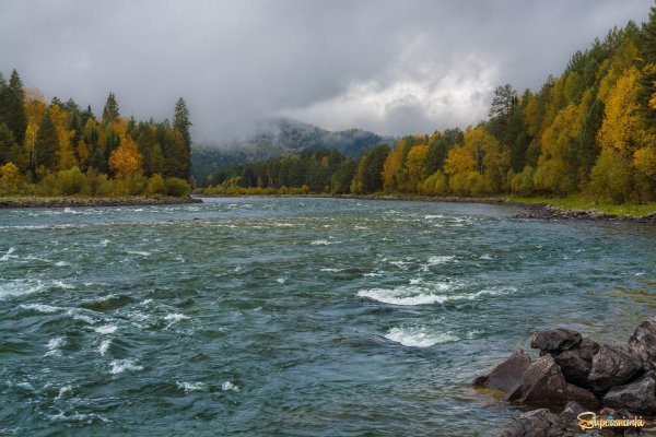 Горный Алтай Бия