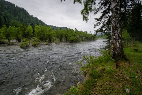 Горный Алтай Бия