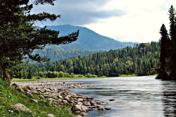 Река Бия Алтайский край
