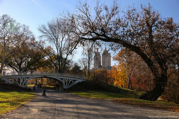 Знаменитый парк в Нью-Йорке