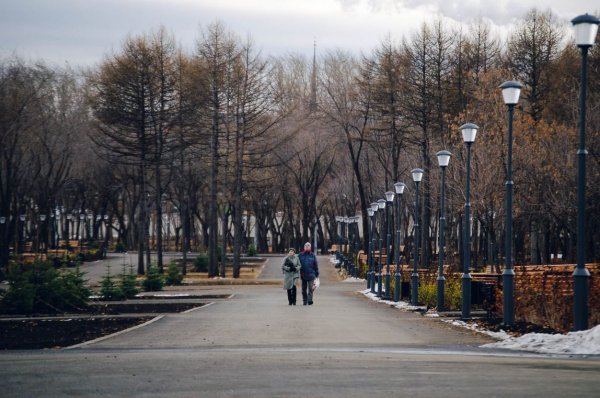 Лесопарк Магнитогорск парк