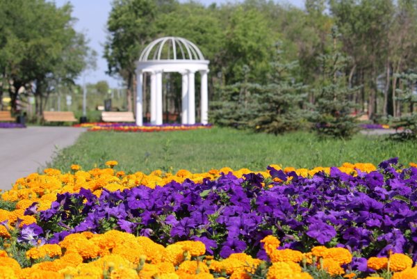 Парк у вечного огня Магнитогорск лето