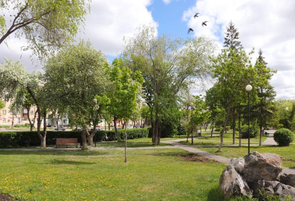 Сквер консерваторский Магнитогорск