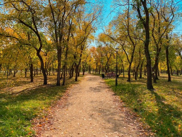 Осень в Магнитогорске парк Металлургов