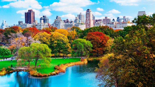 Централ парк Нью-Йорк