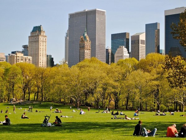Централ парк Нью-Йорк