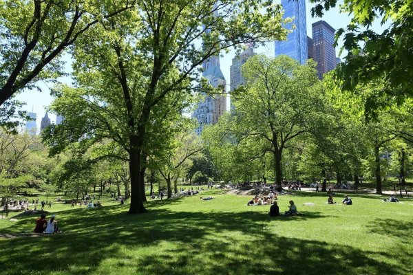 Парк в Нью-Йорке