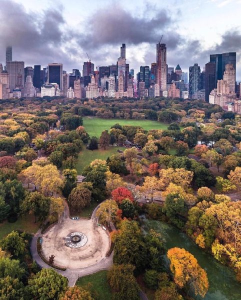 Централ парк Нью-Йорк