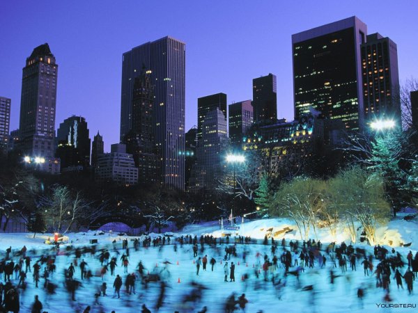 Центральный парк Нью-Йорк
