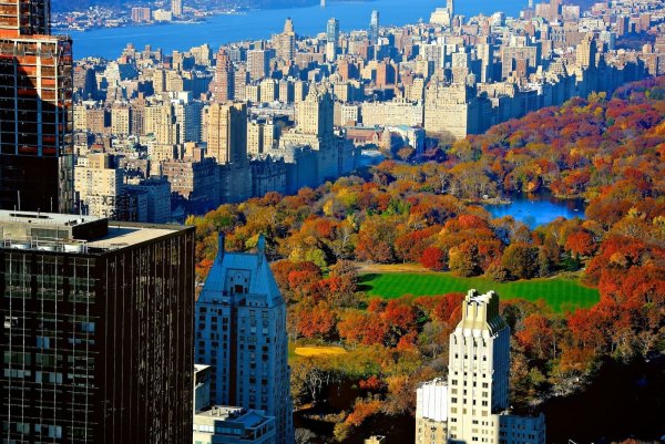 Центральный парк Нью-Йорк осенью