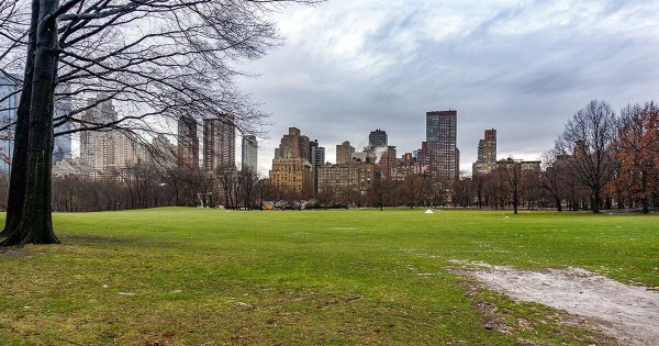 Центральный парк США Эстетика