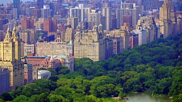 Центральный парк Нью-Йорк
