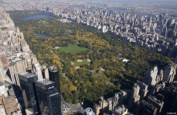 Центр парк Нью-Йорк