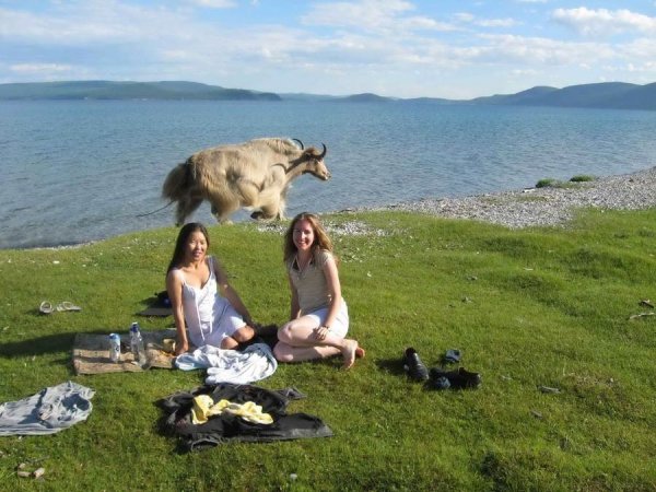 Смешной отдых на природе