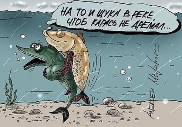 Щука прикол