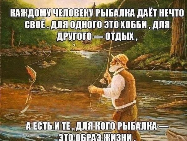 Цитаты про рыбалку