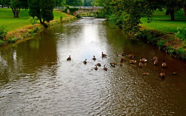 Река утка СПБ