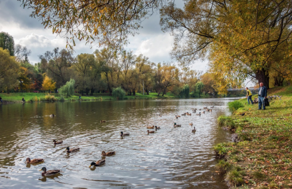 Река Везелка в Белгороде