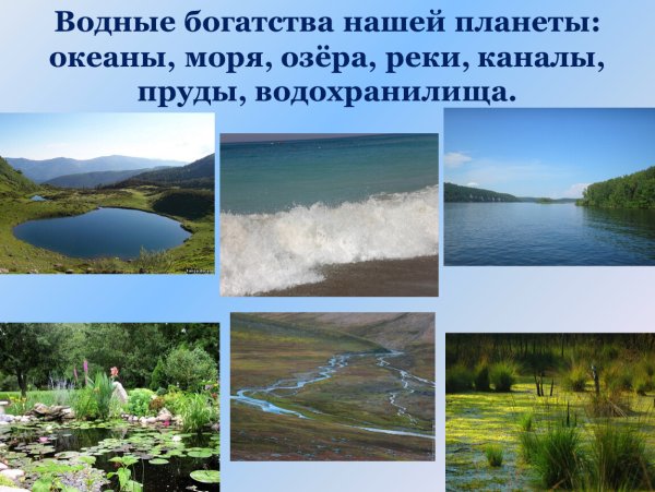 Водные богатства нашего края