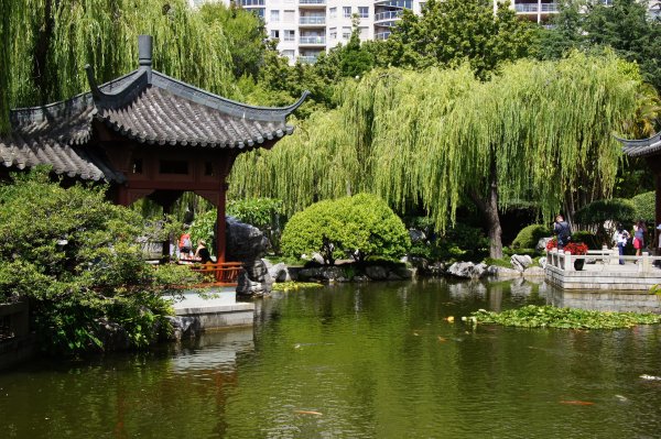 Китайский сад дружбы Сидней