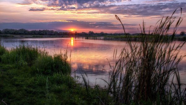 Вечер на берегу реки