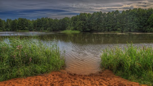 Пруд Пески деревня Взметнево
