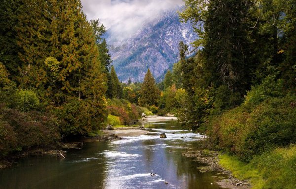 Карпаты, узкая Горная река