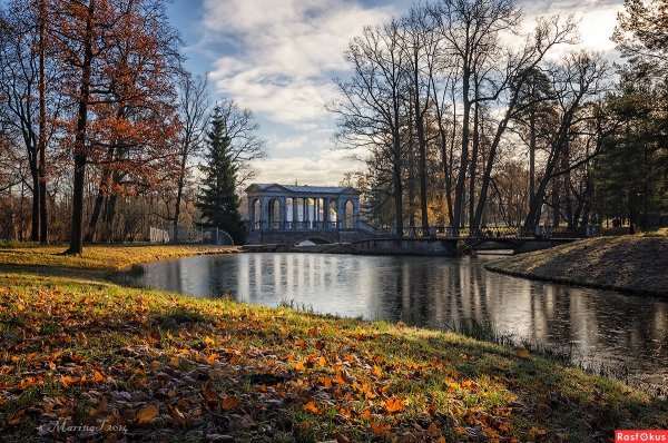 Царское село парк осенью