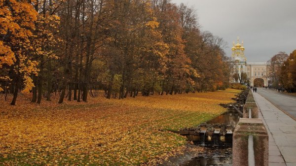 Царское село Санкт-Петербург осенью