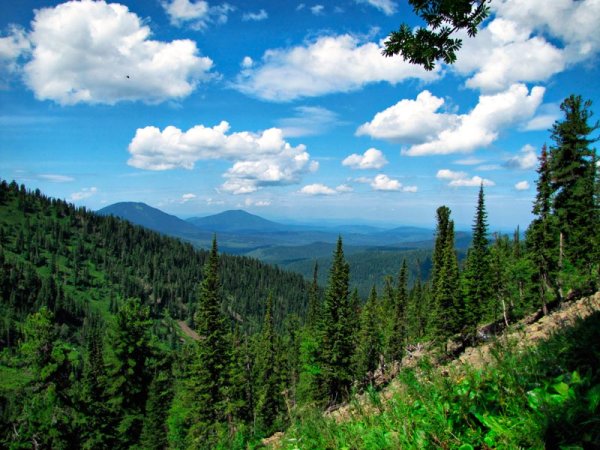 Заповедник Горная Шория