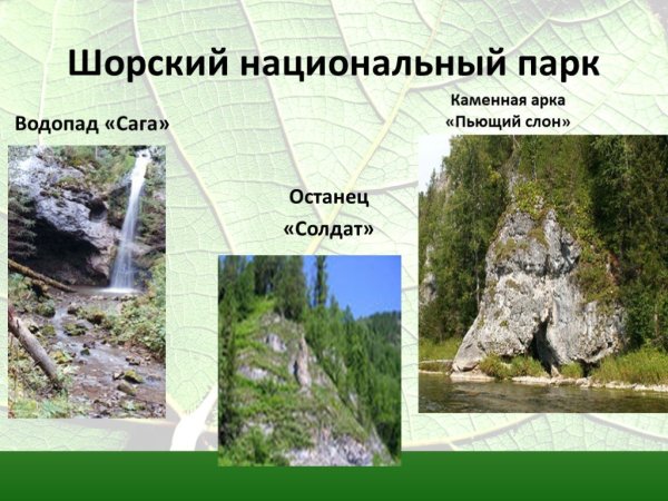 Заповедники Кузбасса Шорский национальный парк