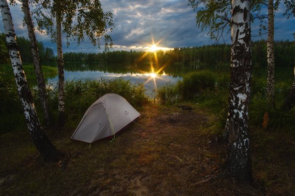 Палатка в лесу у озера