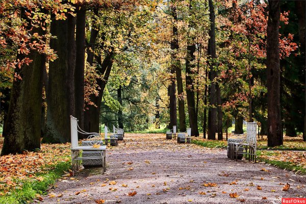 Царское село парк аллея